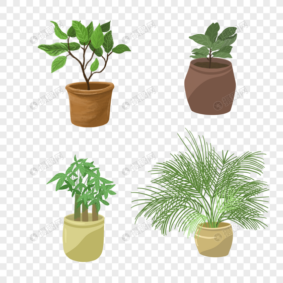 室内绿色植物盆栽组合剪贴画图片