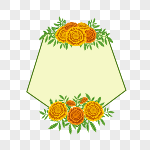 万寿菊花卉几何边框图片