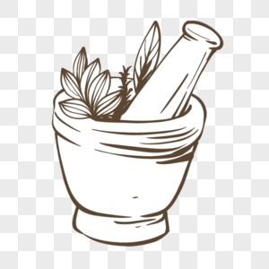 素描插画碗里的植物叶子图片