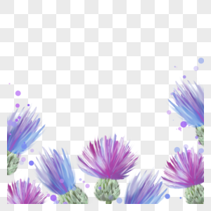 蓟花卉水彩自然装饰边框图片