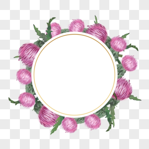 蓟花卉水彩圆形边框图片