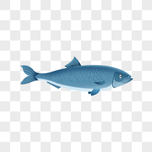 鲱鱼蓝色食物卡通插图图片