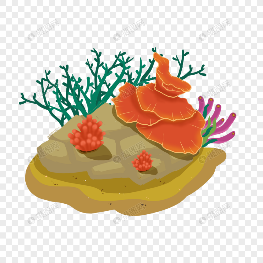 珊瑚礁海底岩石植物插画图片