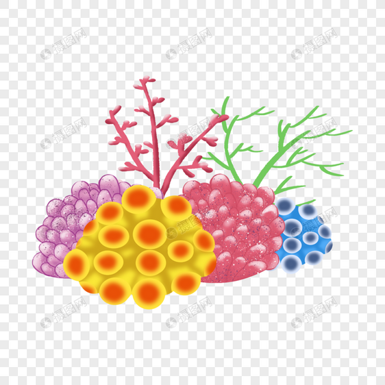 珊瑚礁多色植物插画图片