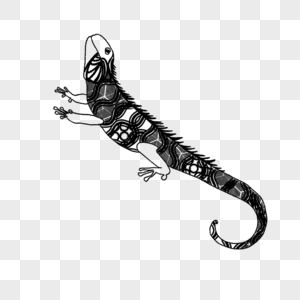 蜥蜴动物艺术黑白禅绕图片