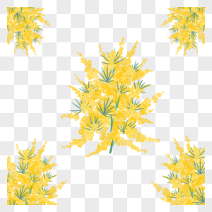 含羞草黄色花朵叶子图片