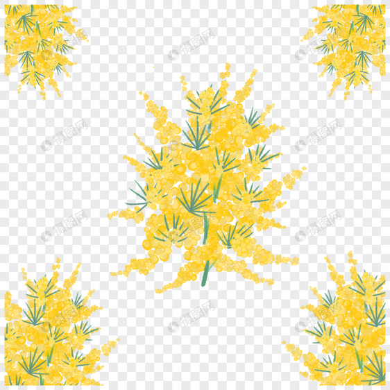 含羞草黄色花朵叶子图片