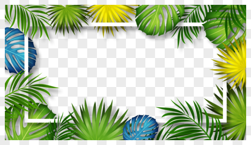 棕榈叶创意植物线条装饰边框图片