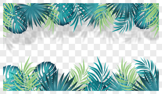 棕榈叶卡通风格叶片边框图片
