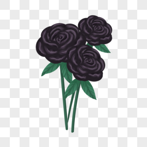 玫瑰黑色装饰花卉图片
