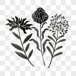 花卉黑色印花版画风格图片