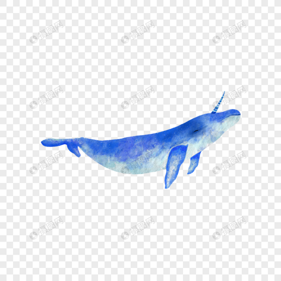 独角鲸水彩生物蓝色图片