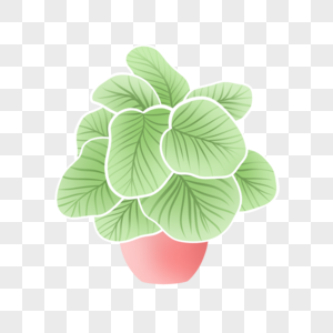 青苹果竹芋卡通风格绿色盆栽植物叶片图片