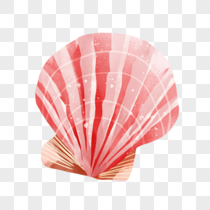 扇贝粉色贝壳海边生物图片图片