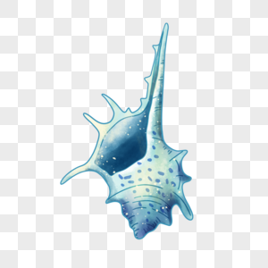 翼法螺海螺蓝色刺绘画图片
