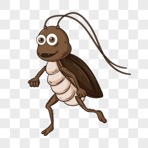 蟑螂胡须棕色卡通图片