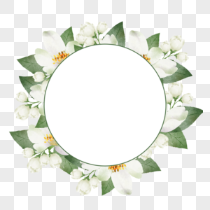 茉莉花边框线描边水彩花卉图片