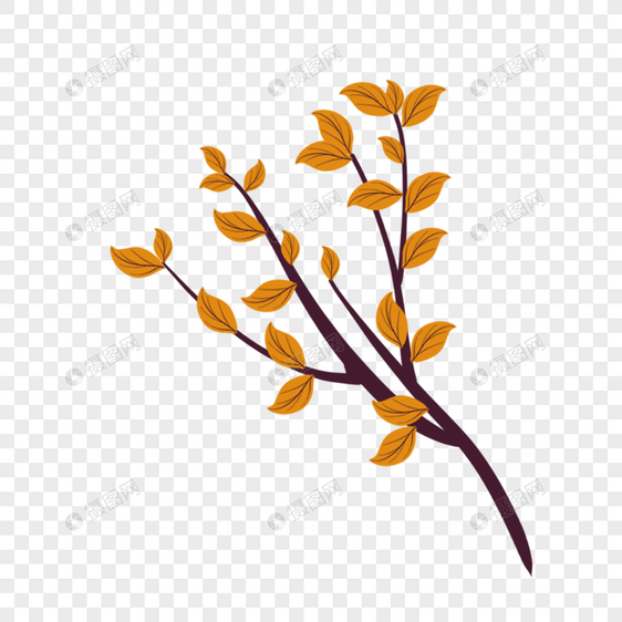 枯黄的波西米亚风格树枝图片