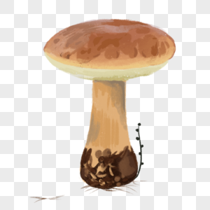 蘑菇扁平冠子水彩童话造型图片