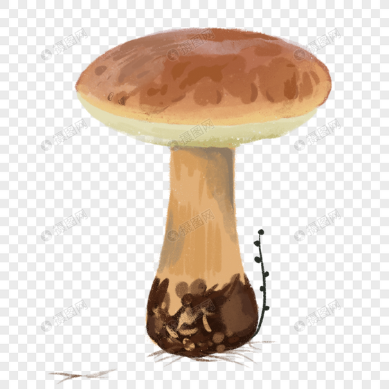 蘑菇扁平冠子水彩童话造型图片