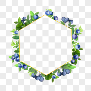 水彩水果蓝莓六边形边框图片