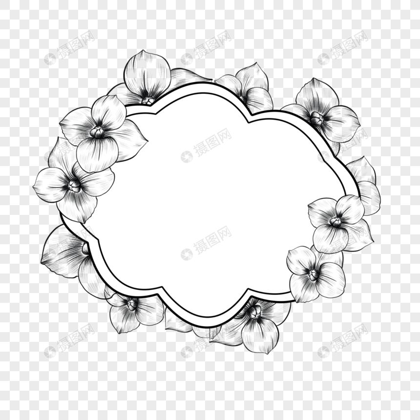 黑色素描花卉边框图片