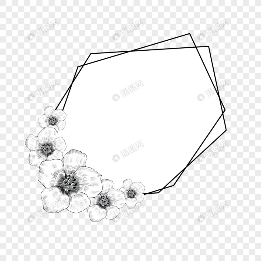 铅笔素描花卉边框图片