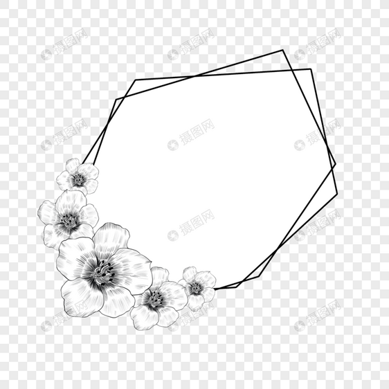 铅笔素描花卉边框图片