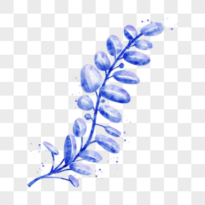 水彩蓝色植物叶子图片