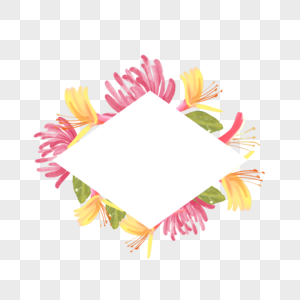 水彩花卉金银花菱形边框图片