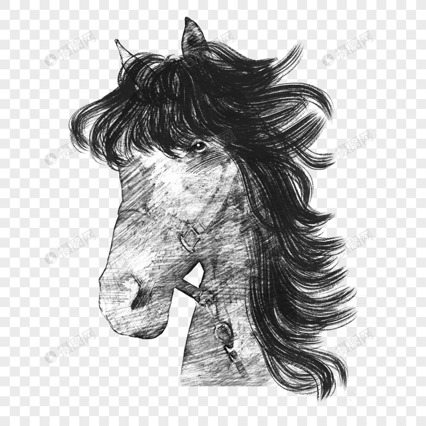 黑白素描风格马头