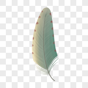细密线条淡绿色水彩羽毛图片