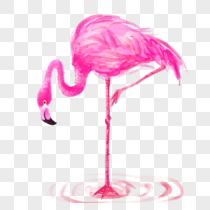 水彩画粉红色的火烈鸟单腿站姿鸟类动物图片