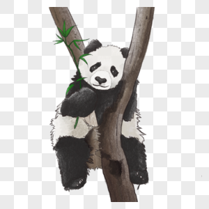 水墨风格趴在树上熊猫图片