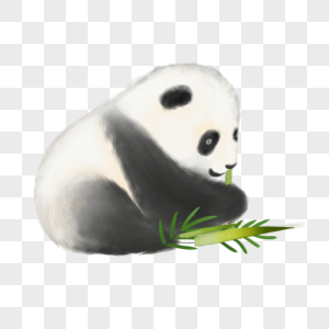 水彩熊猫宝宝吃竹子图片
