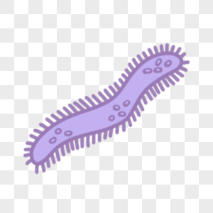 紫色细菌卡通微生物图片