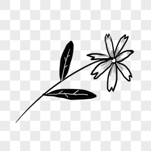 可爱卡通花朵创意黑白单色涂鸦图片