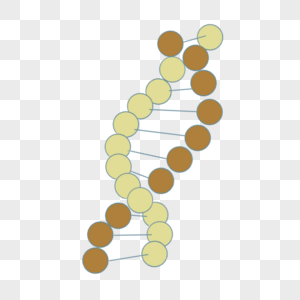 科学教育元素双链dna图示高清图片
