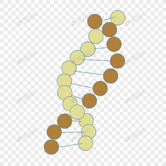 科学教育元素双链dna图示图片