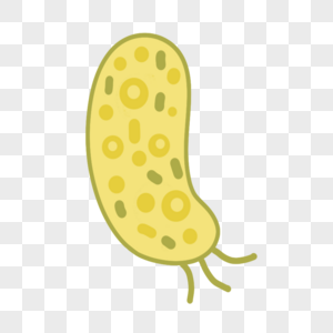 黄色绿色简约形状卡通细菌图片