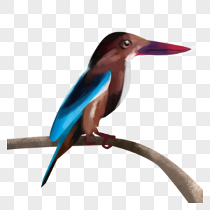 一只鸟站在树枝上水彩鸟类动物图片