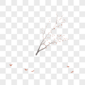 春天开满梅花的树枝图片