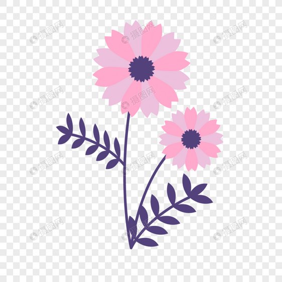 紫叶粉色花瓣春天花朵图片