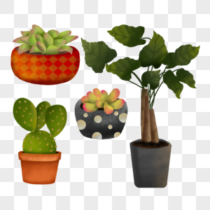 绿色室内植物盆栽图片