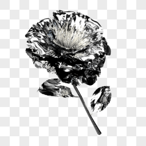 透明的花图片 透明的花素材 透明的花高清图片 摄图网图片下载