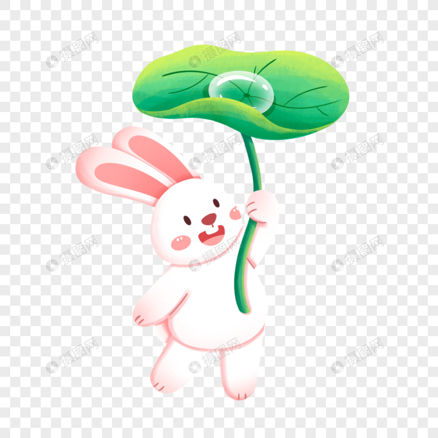 用树叶遮雨的兔子