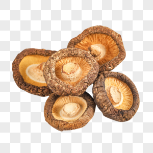 干香菇菇类元素高清图片