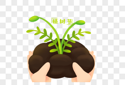 创意植树节手捧树苗图片