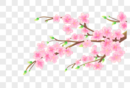 樱花水彩樱花高清图片
