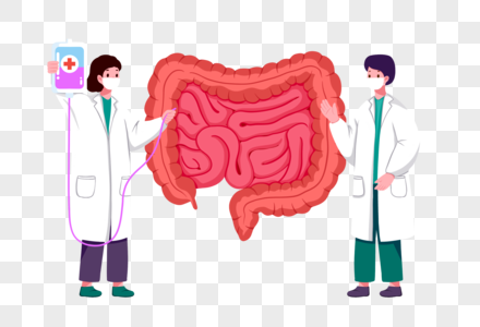 肠道医疗胃肠系统疾病高清图片